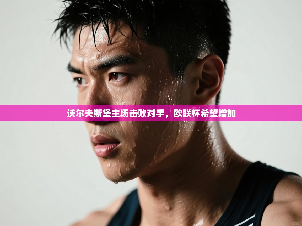 沃尔夫斯堡主场击败对手,欧联杯希望增加 第1张