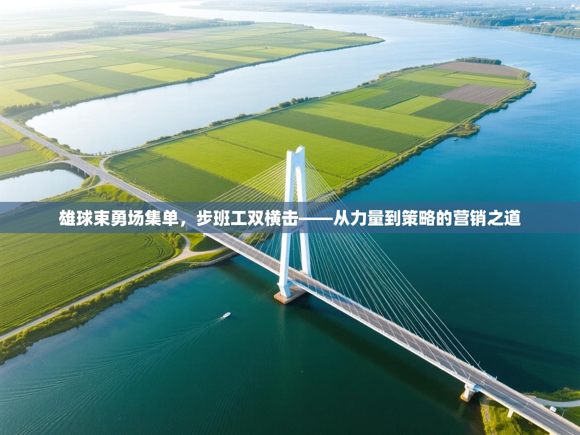 雄球束勇场集单，步班工双横击——从力量到策略的营销之道  第1张